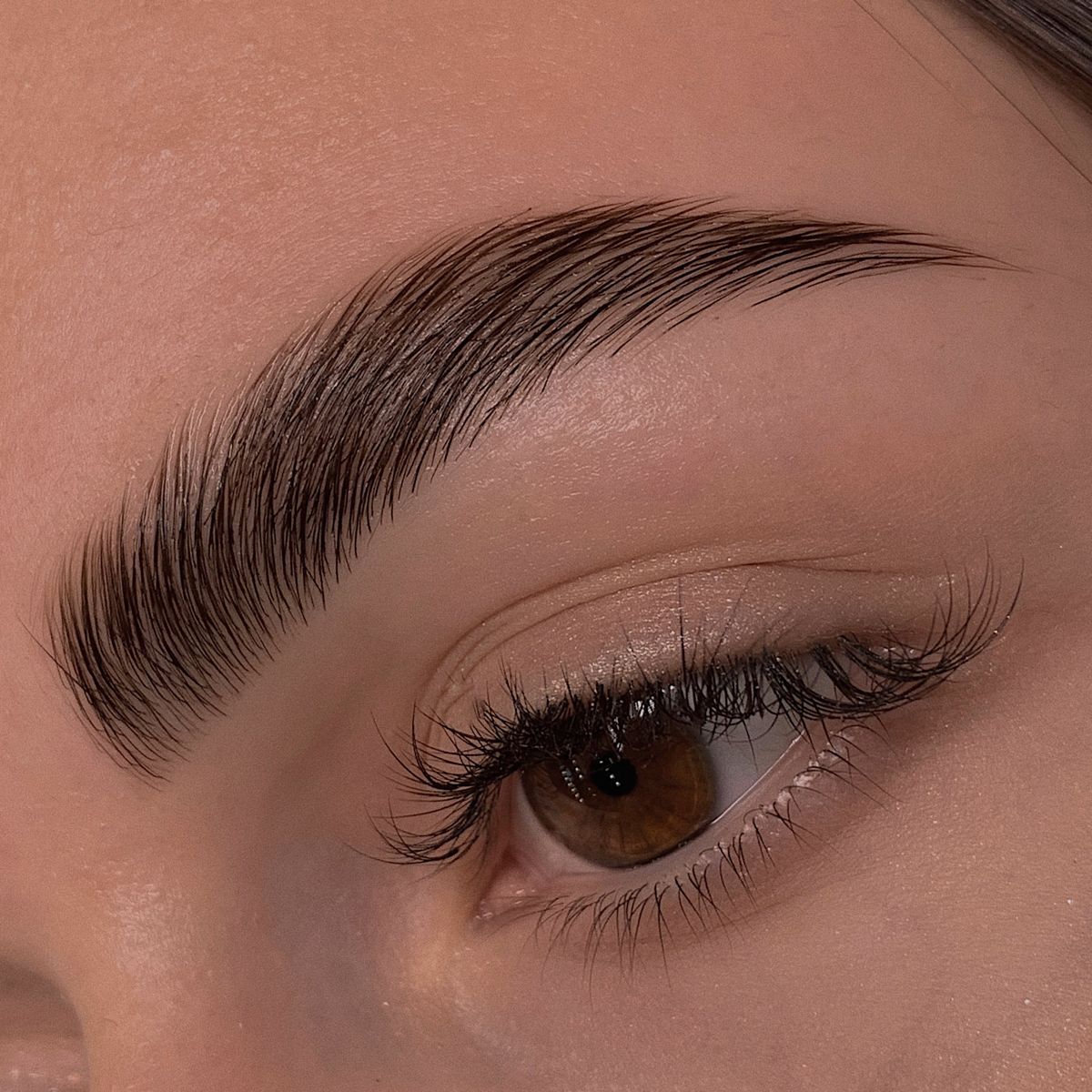 Brow Lamination (Visajismo + Perfilado y Laminado de Cejas)